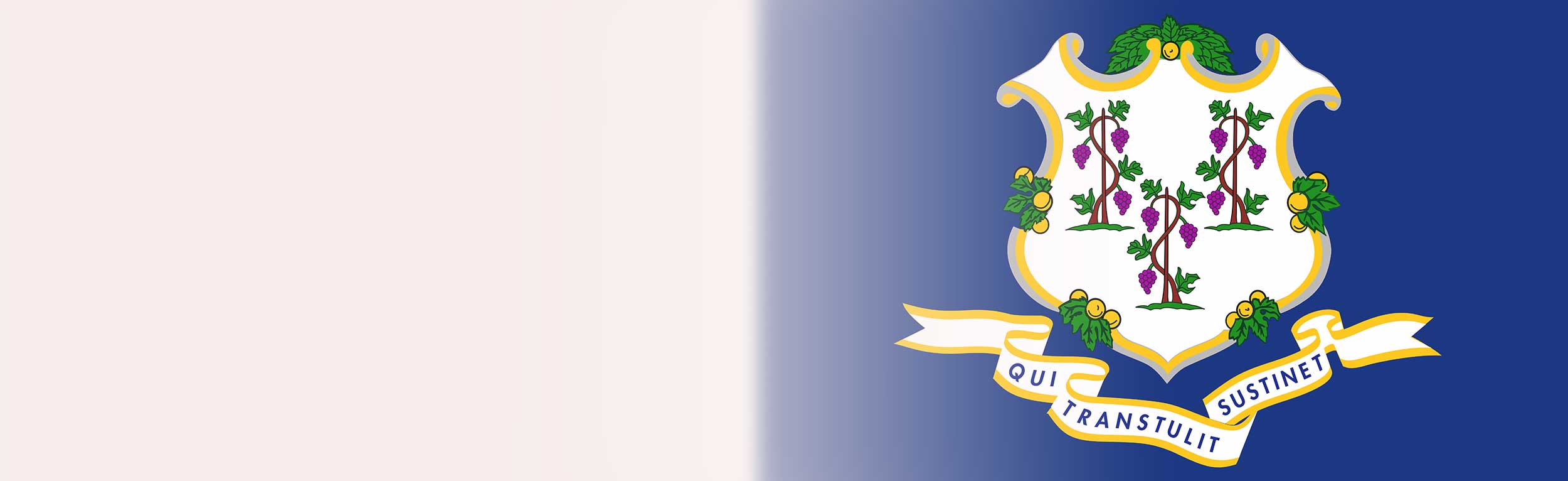 forms-state-flag-connecticut-header