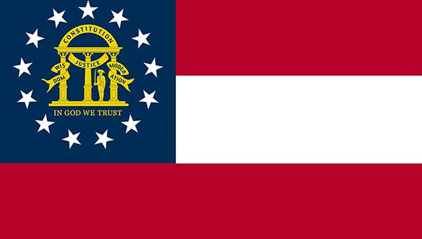 State Form GA G-1003