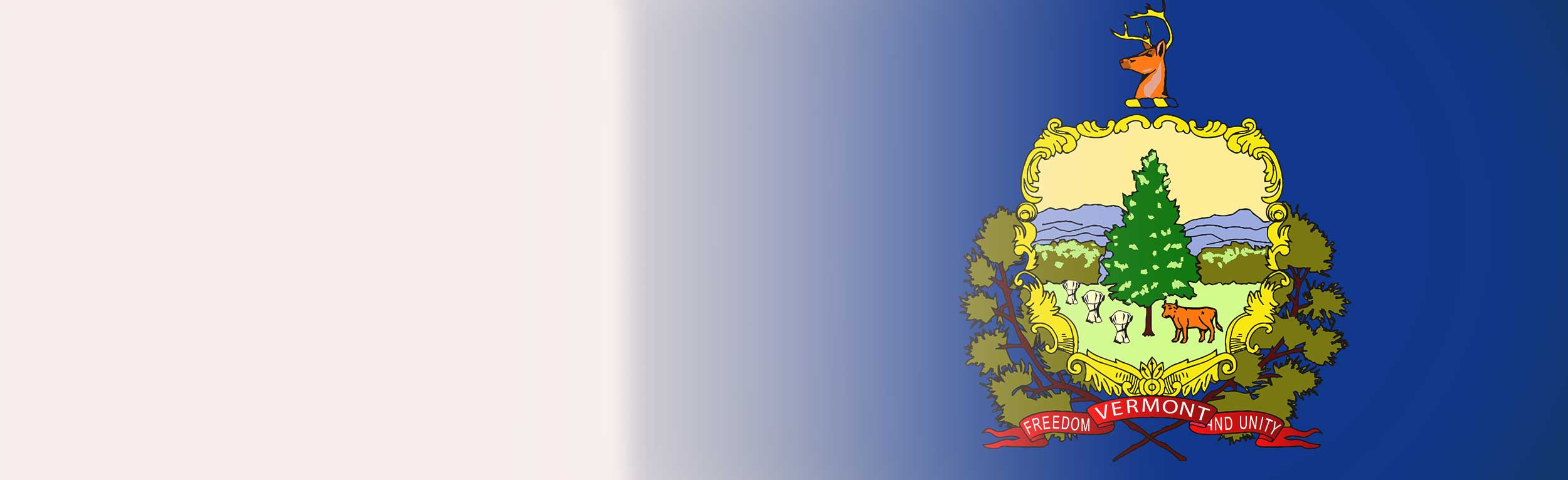 forms-state-flag-vermont-header